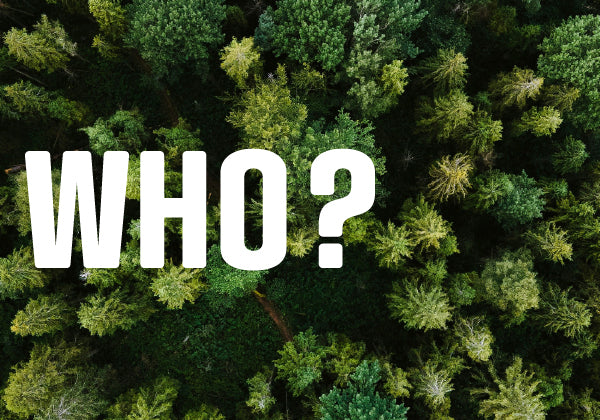 GRIPEN Ingwer Shot Who