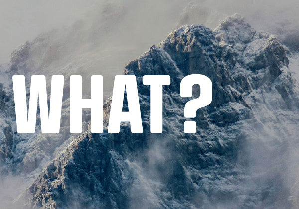 GRIPEN Ingwer Shot What