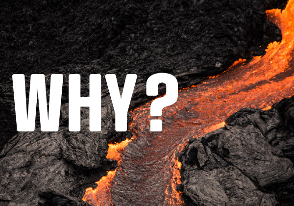 GRIPEN Ingwer Shot why